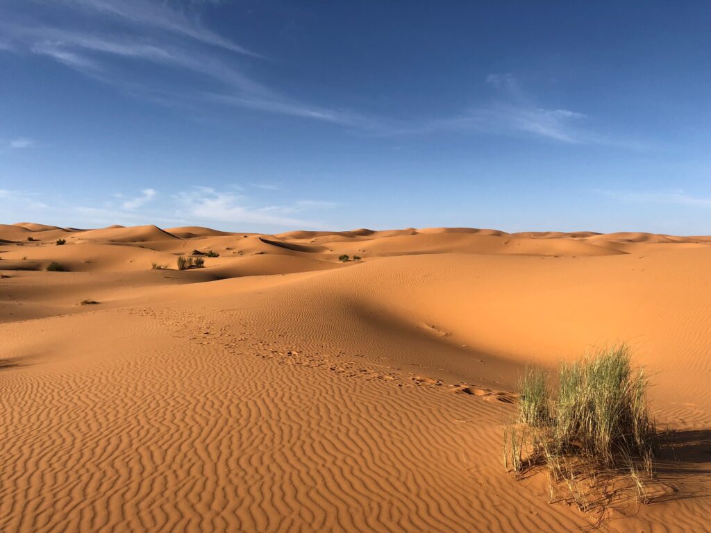 top 10 desert in the world